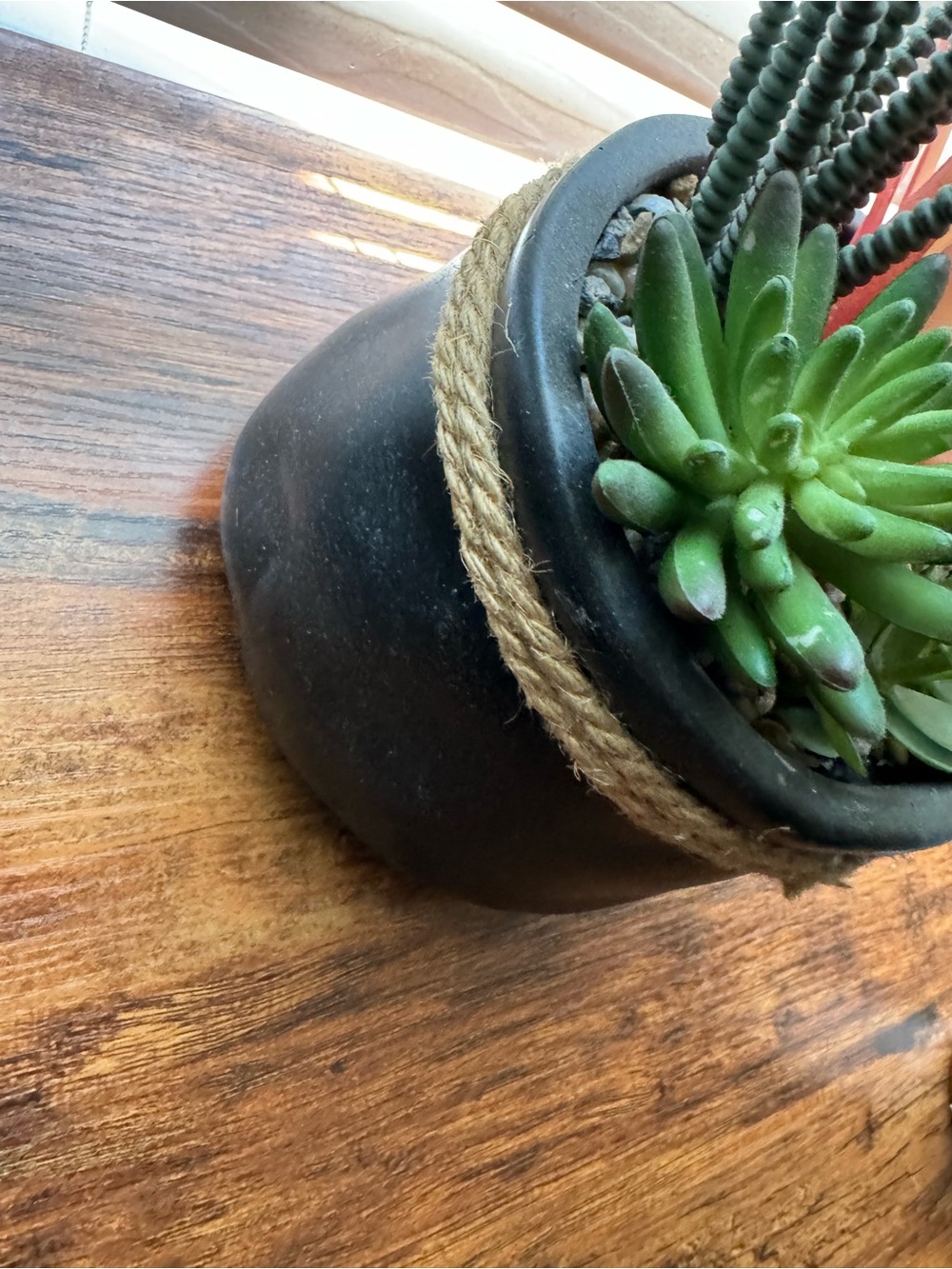 Artificial Succulent Arrangement in Black Rope-Trim Pot - Picture 5 of 6